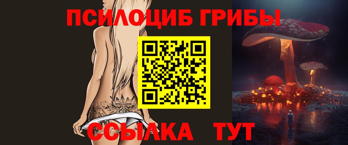 Псилоцибиновые грибы Psilocybine cubensis  Вход с VPN  Саяногорск  Псилоцибиновые грибы Psilocybe 